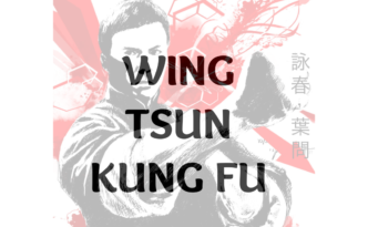 Wing Chun Wing Tsun Lyon kung fu