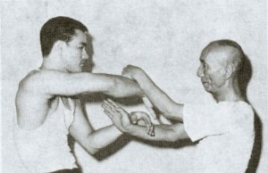 Wing Chun Wing Tsun Kung Fu Lyon