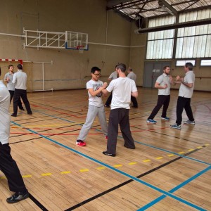 Wing Chun Wing Tsun Kung Fu Lyon Stage