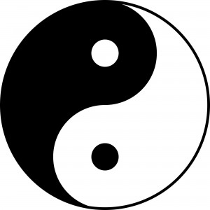 Yin Yang Wing Chun Wing Tsun Kung Fu Lyon