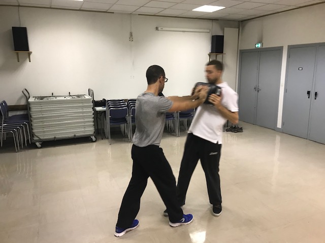 wing chun kung fu lyon