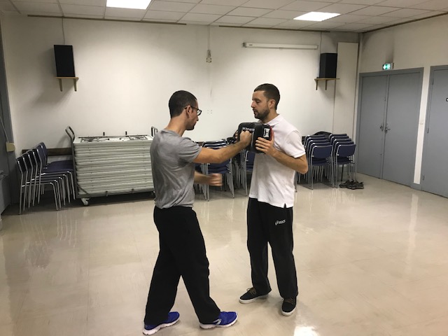 wing chun kung fu lyon