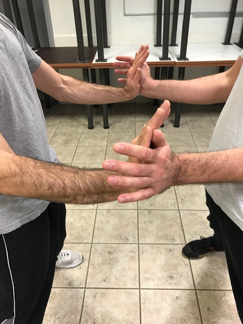 wing chun kung fu lyon