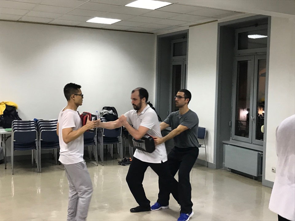 wing chun kung fu lyon