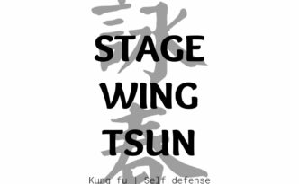 wing chun kung fu