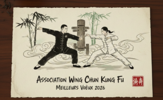 wing chun kung fu